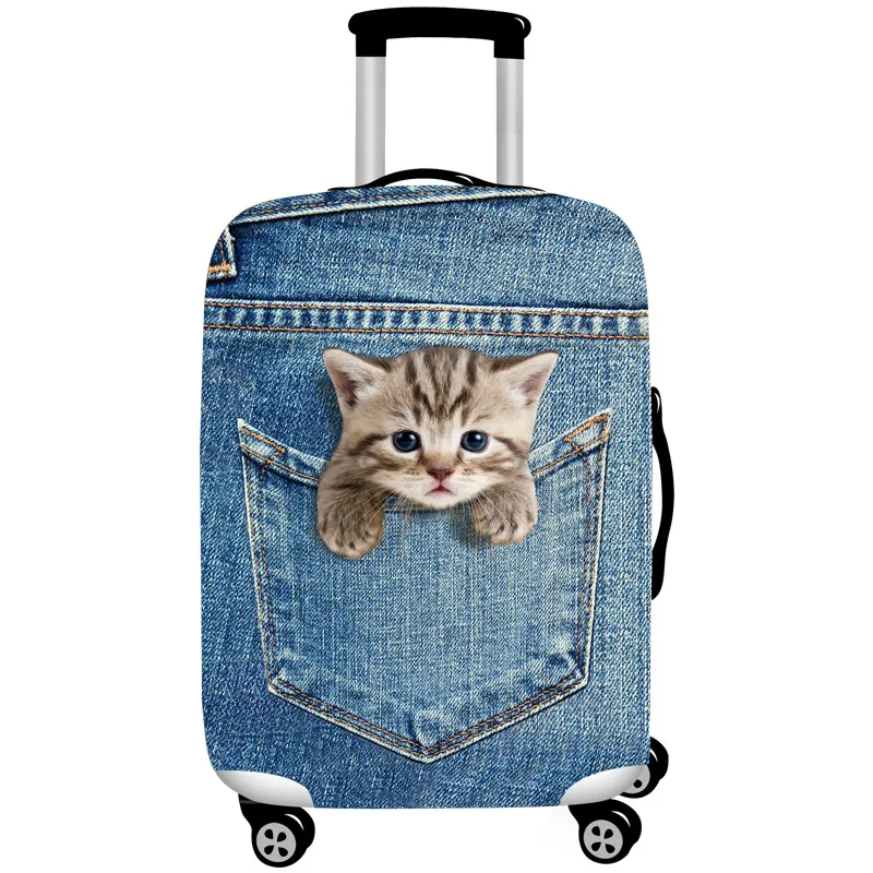 Cowboy Cat