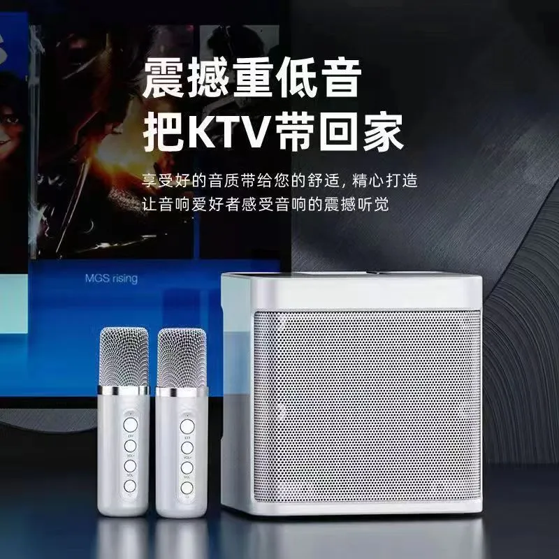 Ys203K Portable Bluetooth Speaker with Dual Wireless Microphones for KTV and Outdoor Home Use, Loud Stereo Sound, Rechargeable Battery showcase 2