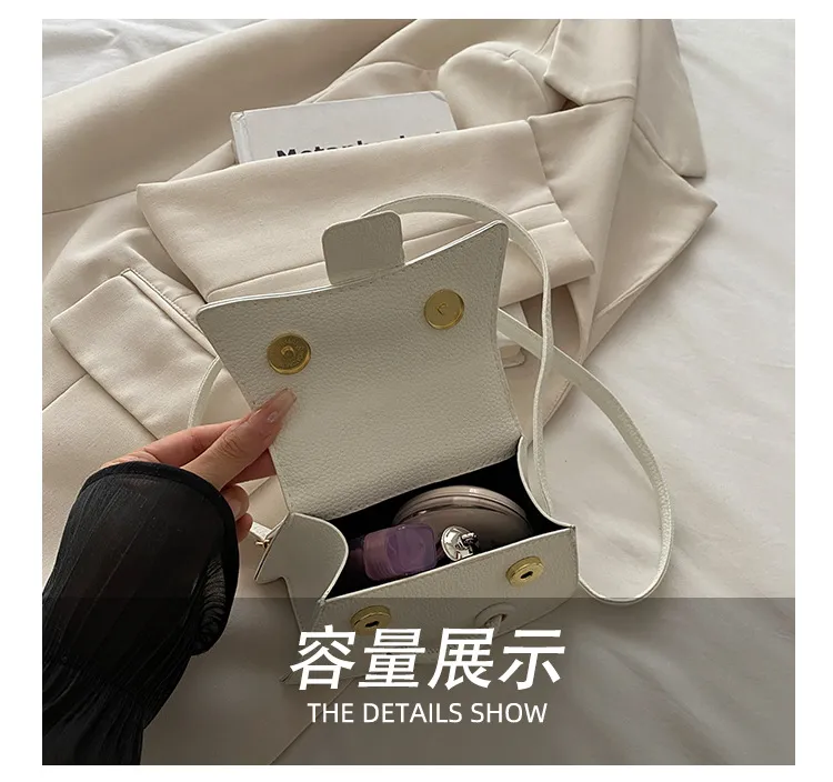 2025 Winter New Chic Handbag Women's Casual Crossbody Bag Elegant Commuter Single Shoulder Small Square Bag showcase 9