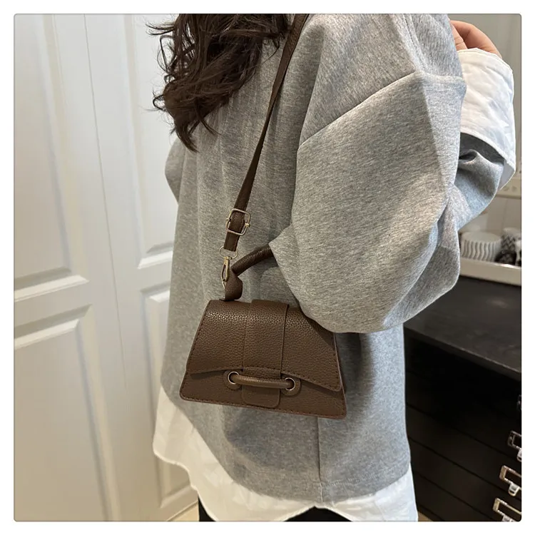 2025 Winter New Chic Handbag Women's Casual Crossbody Bag Elegant Commuter Single Shoulder Small Square Bag showcase 14