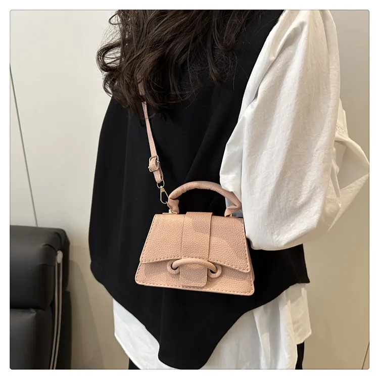 2025 Winter New Chic Handbag Women's Casual Crossbody Bag Elegant Commuter Single Shoulder Small Square Bag showcase 16