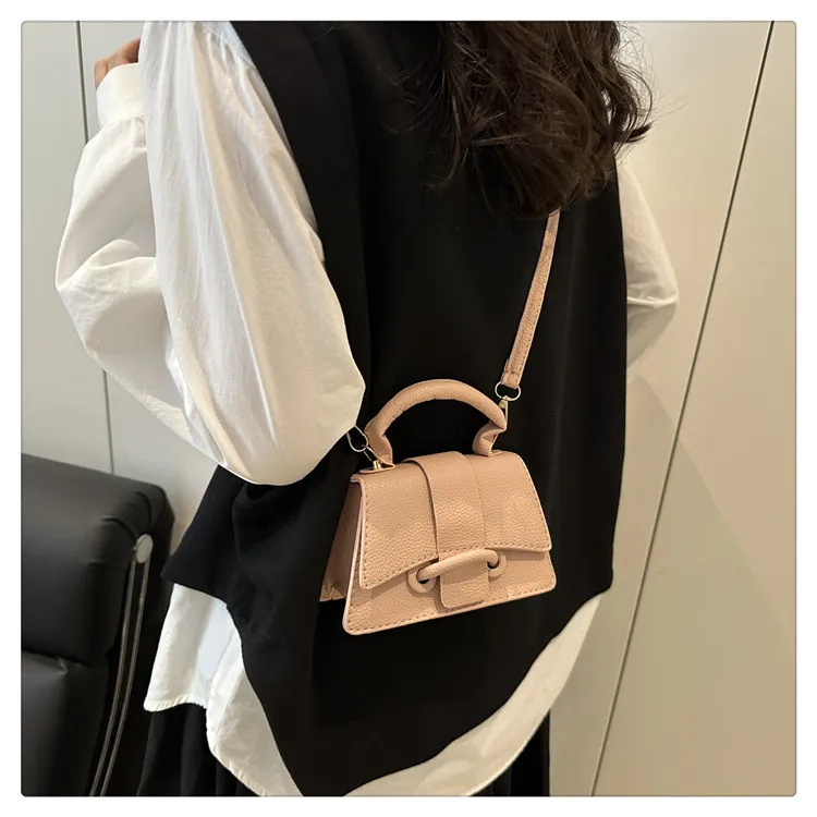 2025 Winter New Chic Handbag Women's Casual Crossbody Bag Elegant Commuter Single Shoulder Small Square Bag showcase 17