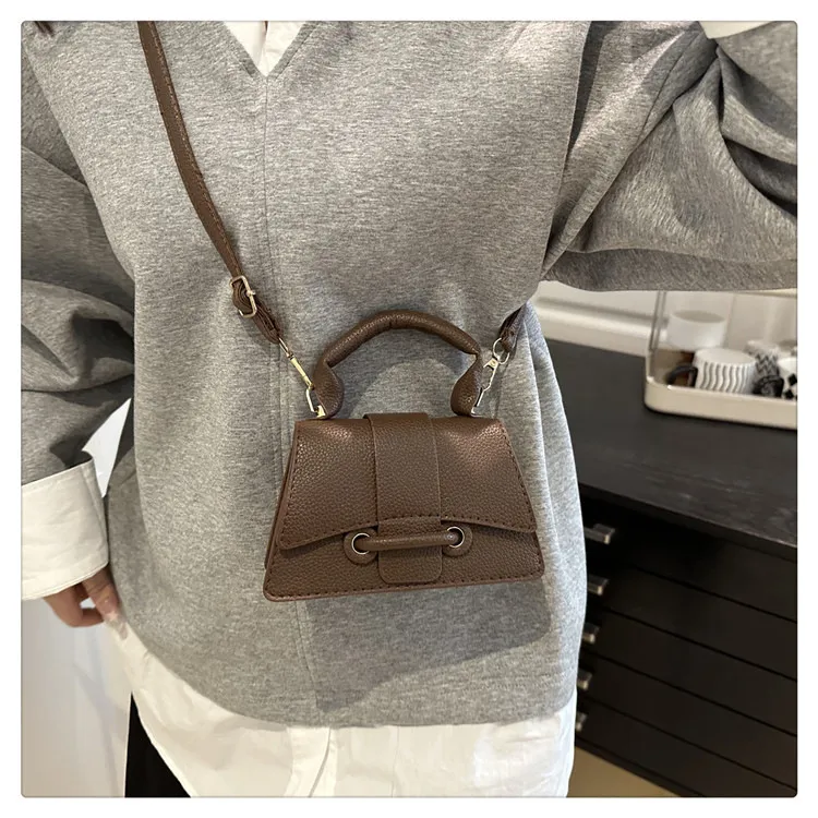 2025 Winter New Chic Handbag Women's Casual Crossbody Bag Elegant Commuter Single Shoulder Small Square Bag showcase 15