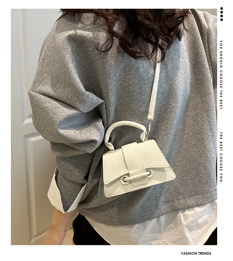 2025 Winter New Chic Handbag Women's Casual Crossbody Bag Elegant Commuter Single Shoulder Small Square Bag showcase 2