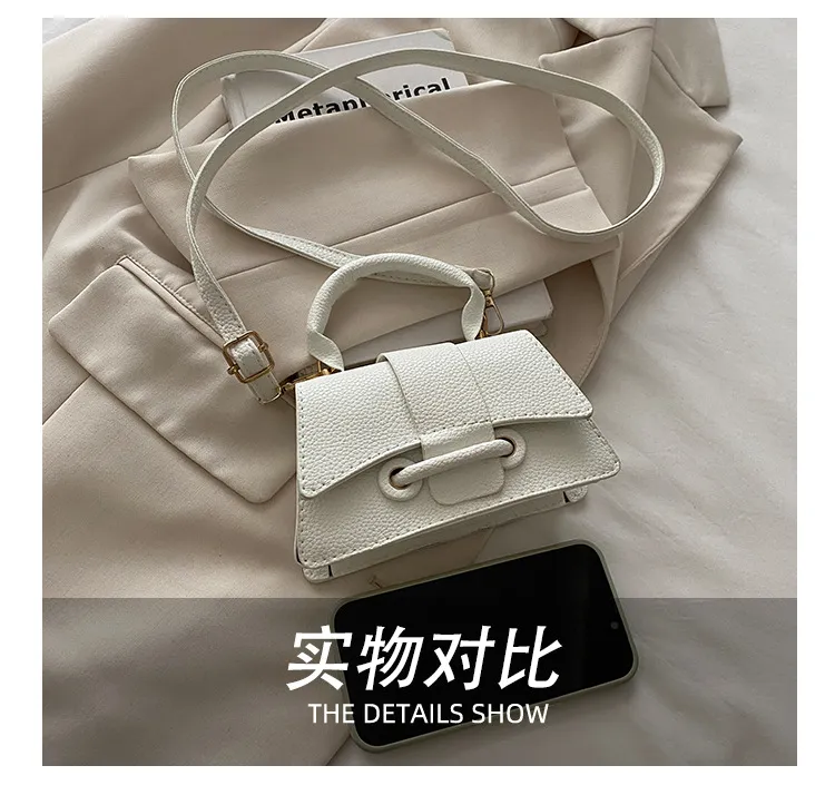 2025 Winter New Chic Handbag Women's Casual Crossbody Bag Elegant Commuter Single Shoulder Small Square Bag showcase 10