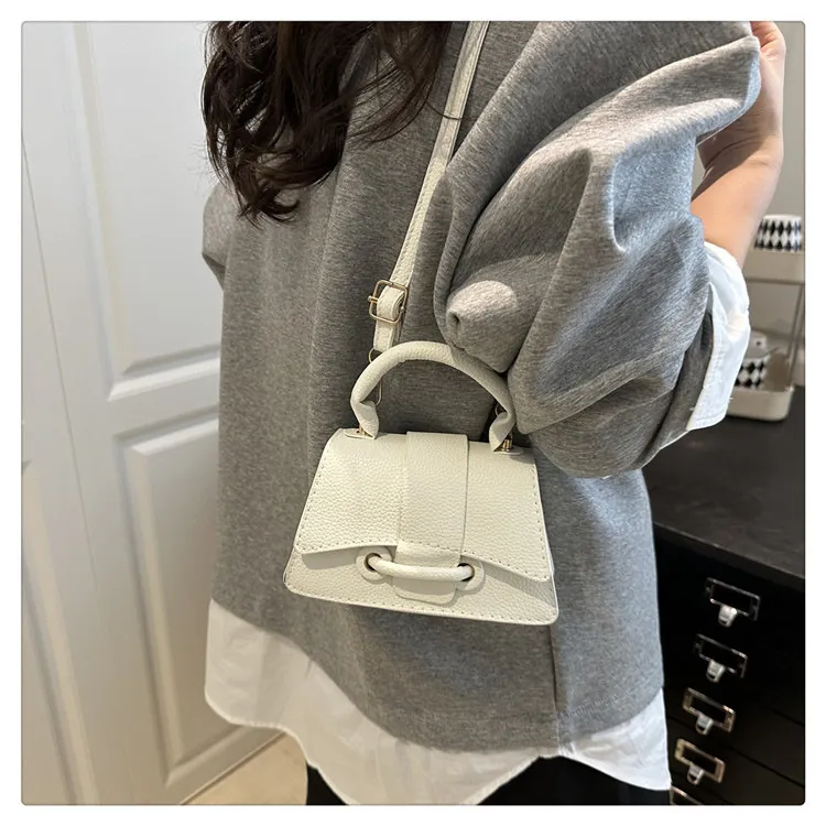 2025 Winter New Chic Handbag Women's Casual Crossbody Bag Elegant Commuter Single Shoulder Small Square Bag showcase 12