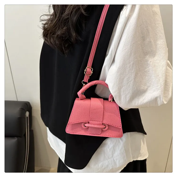 2025 Winter New Chic Handbag Women's Casual Crossbody Bag Elegant Commuter Single Shoulder Small Square Bag showcase 18