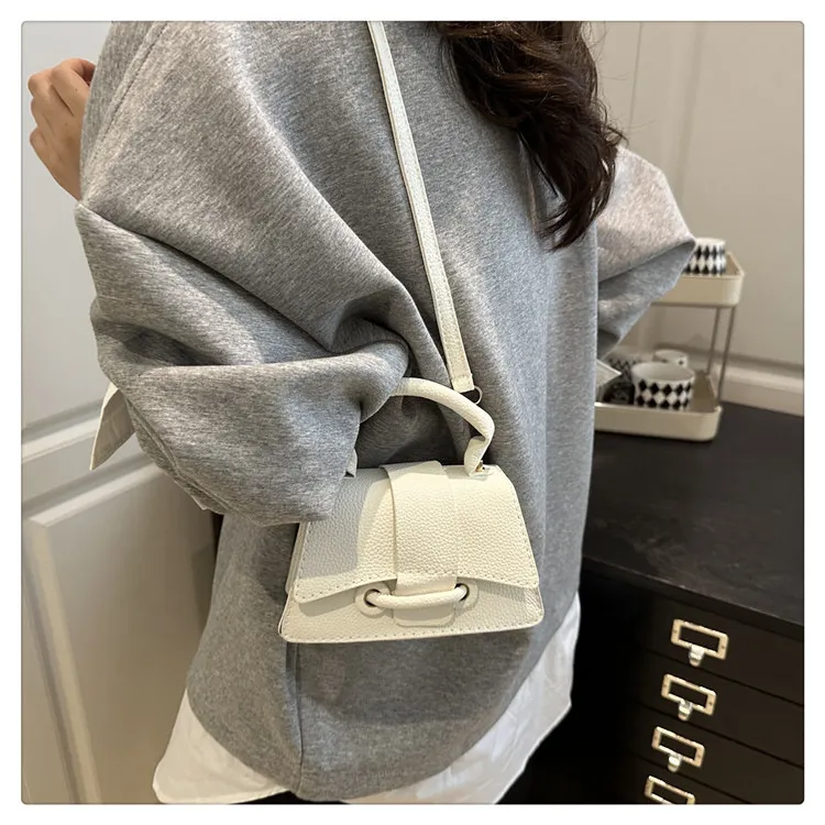 2025 Winter New Chic Handbag Women's Casual Crossbody Bag Elegant Commuter Single Shoulder Small Square Bag showcase 13