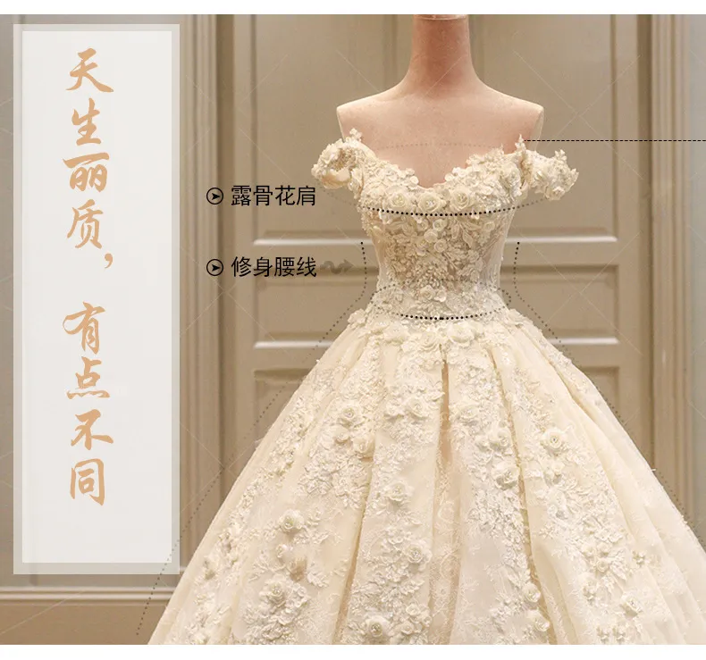 Champagne Off-the-Shoulder Wedding Dress with Train, 2026 Spring Plus-Size Korean Style Simple Floor-Length Bridal Gown for Elegant Ceremonies showcase 6