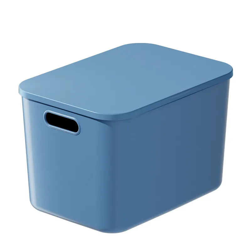 Large Capacity Sundry Storage Box with Lid for Home Dormitory Wardrobe Living Room Desktop Organization - Versatile Organizer for Snacks and Essentials - Image 5