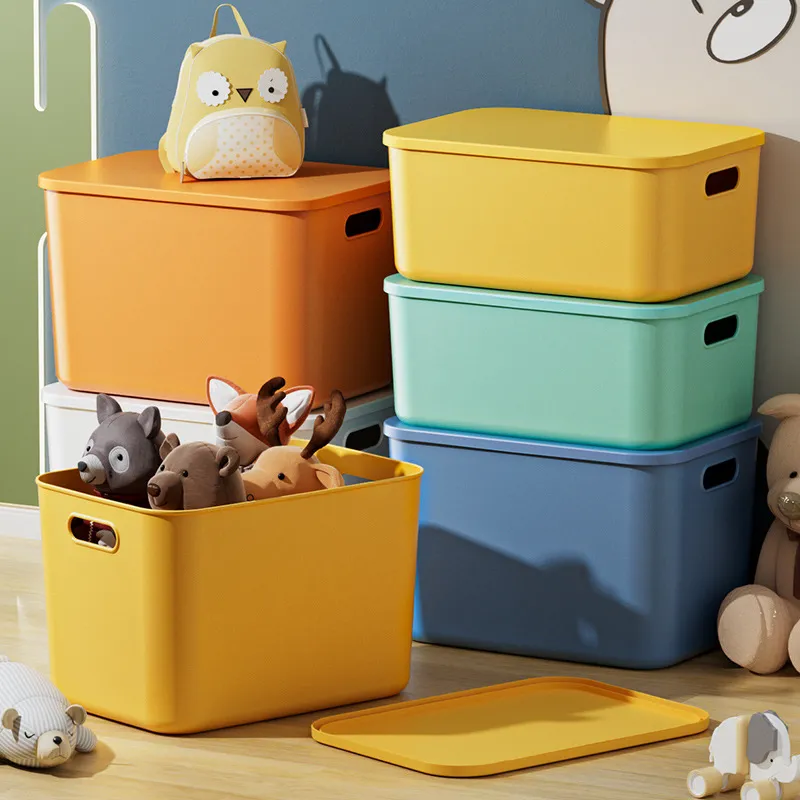 Large Capacity Sundry Storage Box with Lid for Home Dormitory Wardrobe Living Room Desktop Organization - Versatile Organizer for Snacks and Essentials - Image 1