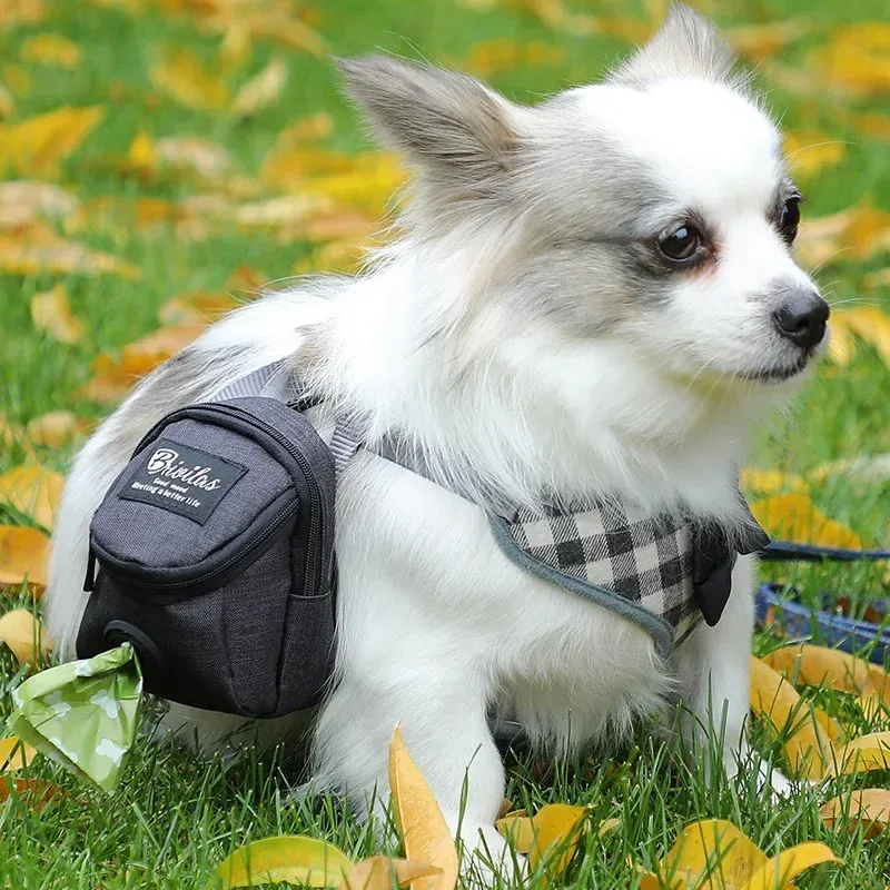 Portable Dog Training Treat Bag Pouch for Outdoor Use - Pet Puppy Snack Reward Waist Bag with Poop Bag Dispenser - Essential Pet Accessories for Walks and Training showcase 18