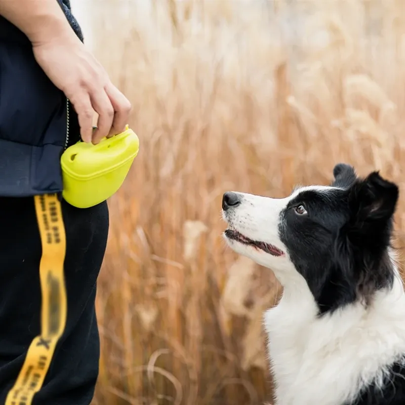 Portable Pet Dog Training Waist Bag - Silicone Treat Pouch with Magnetic Closure, Easy Clean, Lightweight for Outdoor Walks & Agility Training thumbnail 5