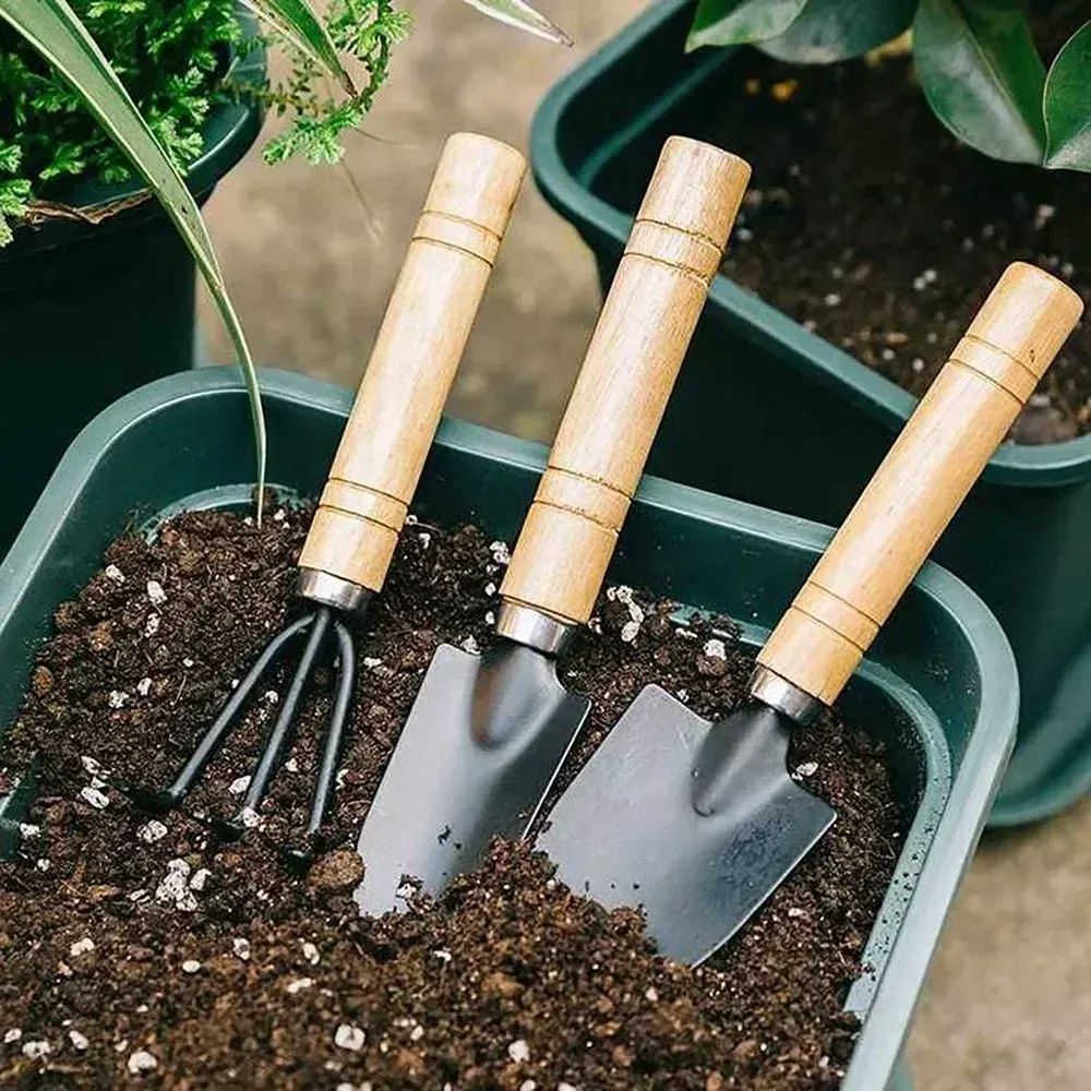 3Pcs Mini Garden Tool Set: Iron Shovel, Trowel & Rake with Ergonomic Wooden Handles for Indoor Plants, Flower Pots, Cactus & Small Garden Tasks
