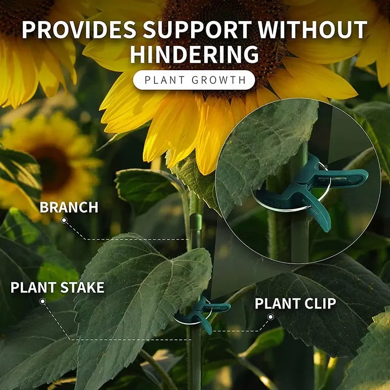20Pcs Reusable Plant Support Clips for Garden & Greenhouse - Secure Vine, Flower, Seedling Stems & Branches - Durable Green Plastic with Galvanized Wire thumbnail 3