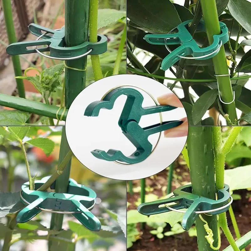20Pcs Reusable Plant Support Clips for Garden & Greenhouse - Secure Vine, Flower, Seedling Stems & Branches - Durable Green Plastic with Galvanized Wire showcase 2