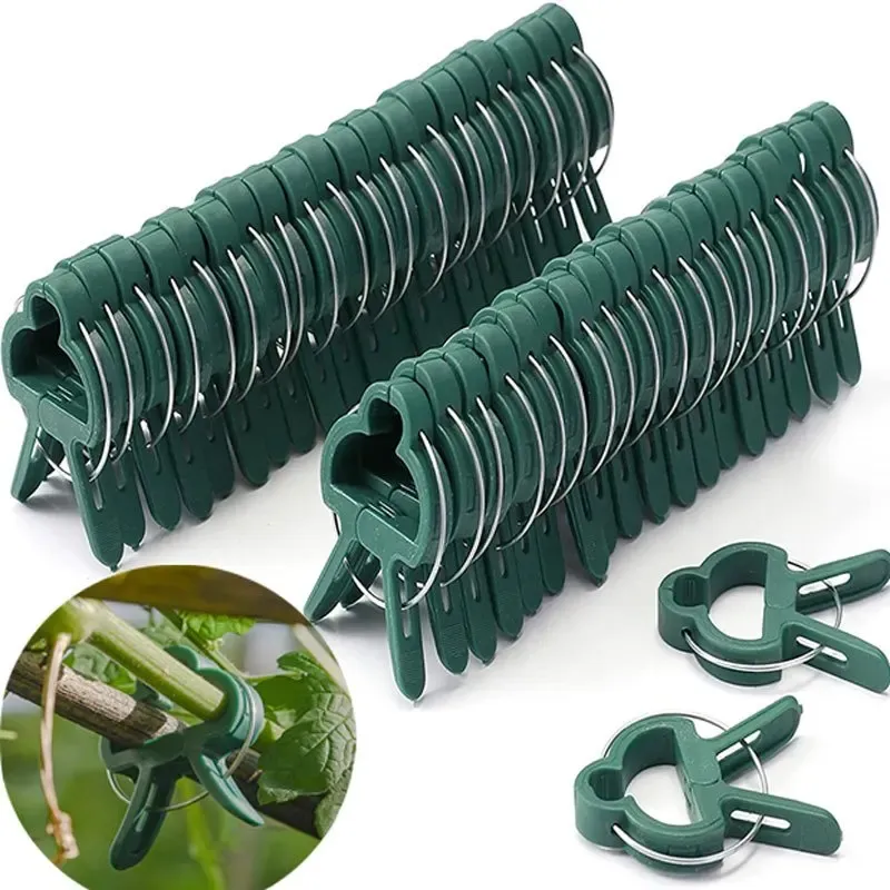 20Pcs Reusable Plant Support Clips for Garden & Greenhouse - Secure Vine, Flower, Seedling Stems & Branches - Durable Green Plastic with Galvanized Wire thumbnail 1