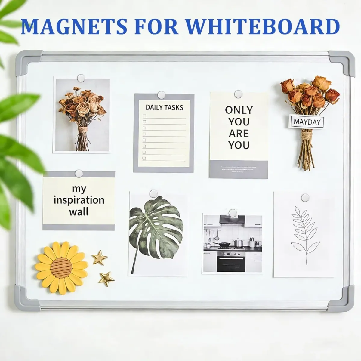 8x3mm Round Refrigerator Magnets - Small Whiteboard & Office Magnets, Durable Mini Magnets for Kitchen & Crafting showcase 4