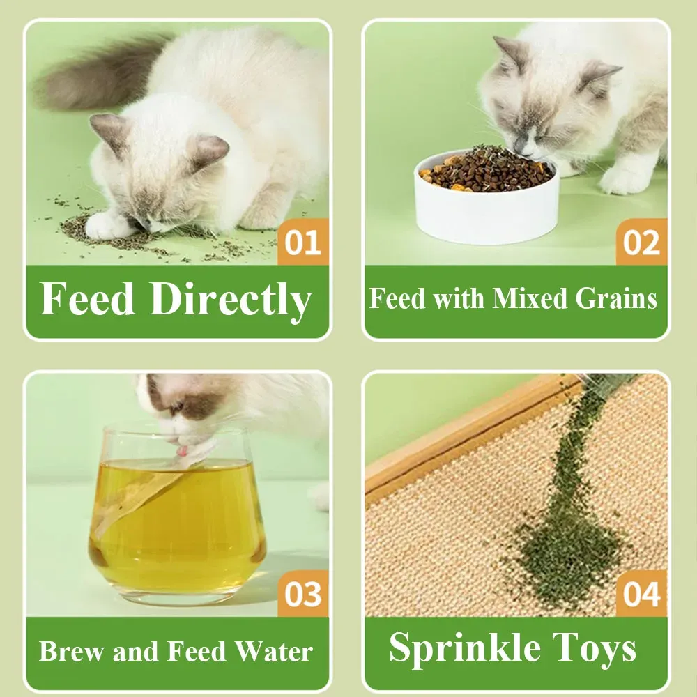 15 Pack Natural Catnip Tea Bags for Cats - Promotes Digestion, Appetite, and Active Play - Dental Health & Hairball Control - Toy & Water Additive showcase 10
