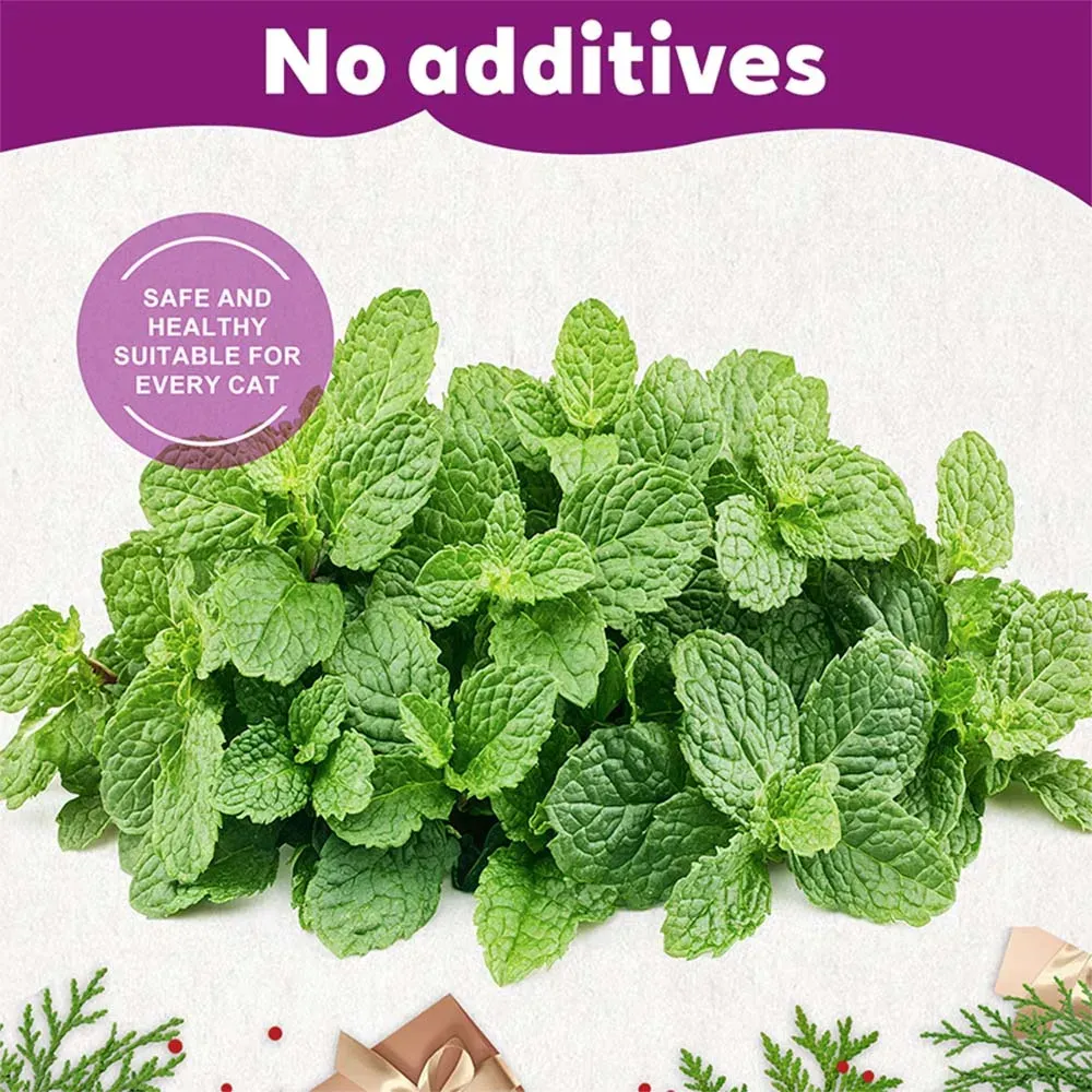 15 Pack Natural Catnip Tea Bags for Cats - Promotes Digestion, Appetite, and Active Play - Dental Health & Hairball Control - Toy & Water Additive showcase 3