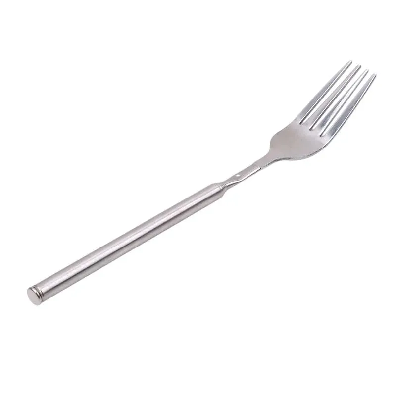 Silver Stainless Steel Telescopic Extendable Fork - Long BBQ Meat, Fruit, Dessert Cutlery for Kitchen & Barbecue showcase 6