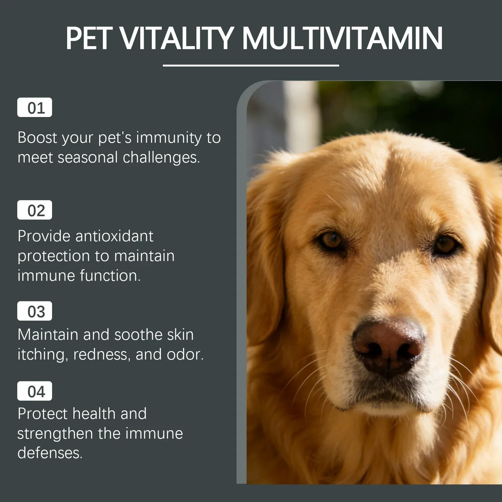 Dog Multivitamin Chewable Tablets - Gentle Formula for All Sizes, Supports Skin, Coat, Immune Health & Digestion - Tasty Daily Nutritional Supplement thumbnail 5
