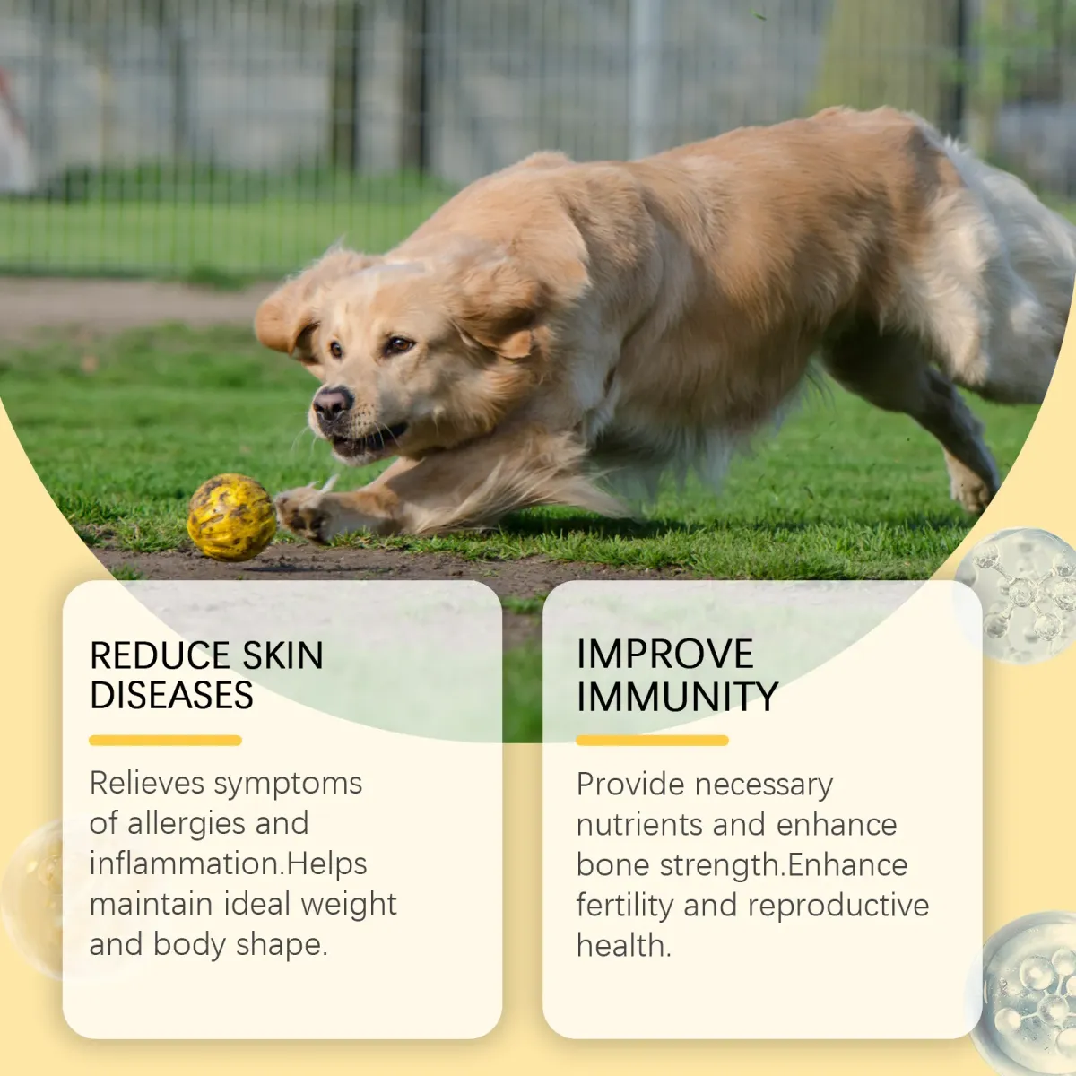 Dog Multivitamin Fish Oil Tablets for Skin & Coat Health - Omega Fatty Acids for Immune & Heart Support - All Size Dogs showcase 8
