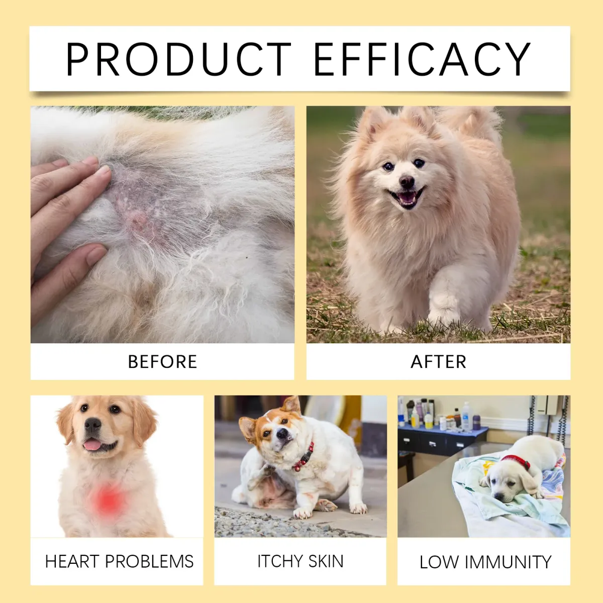 Dog Multivitamin Fish Oil Tablets for Skin & Coat Health - Omega Fatty Acids for Immune & Heart Support - All Size Dogs showcase 9