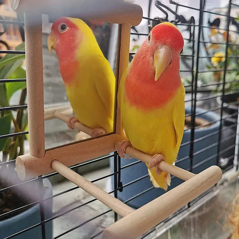 Large Natural Wooden Parrot Toy - Durable Bird Chewing Blocks for Cage Enrichment & Mental Stimulation showcase 8
