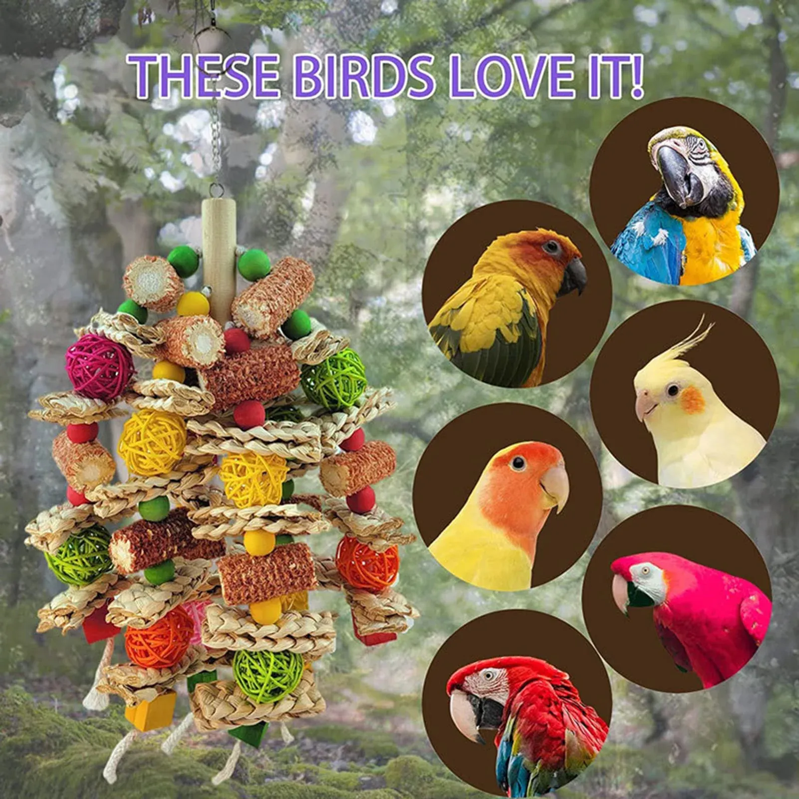 Large Parrot Chewing Toy - Natural Wooden Bird Cage Toy with Corn Nuts, Ideal for African Grey, Macaws, Cockatoos, Parakeets, and Conures - Promotes Healthy Beak and Reduces Anxiety - Image 5