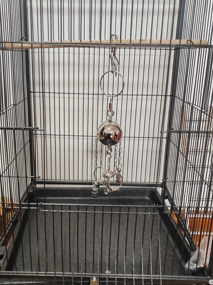 Durable Stainless Steel Bird Chewing Toy with Bell - Hanging Swing & Tearing Cage Accessory for Medium to Large Parrots showcase 6