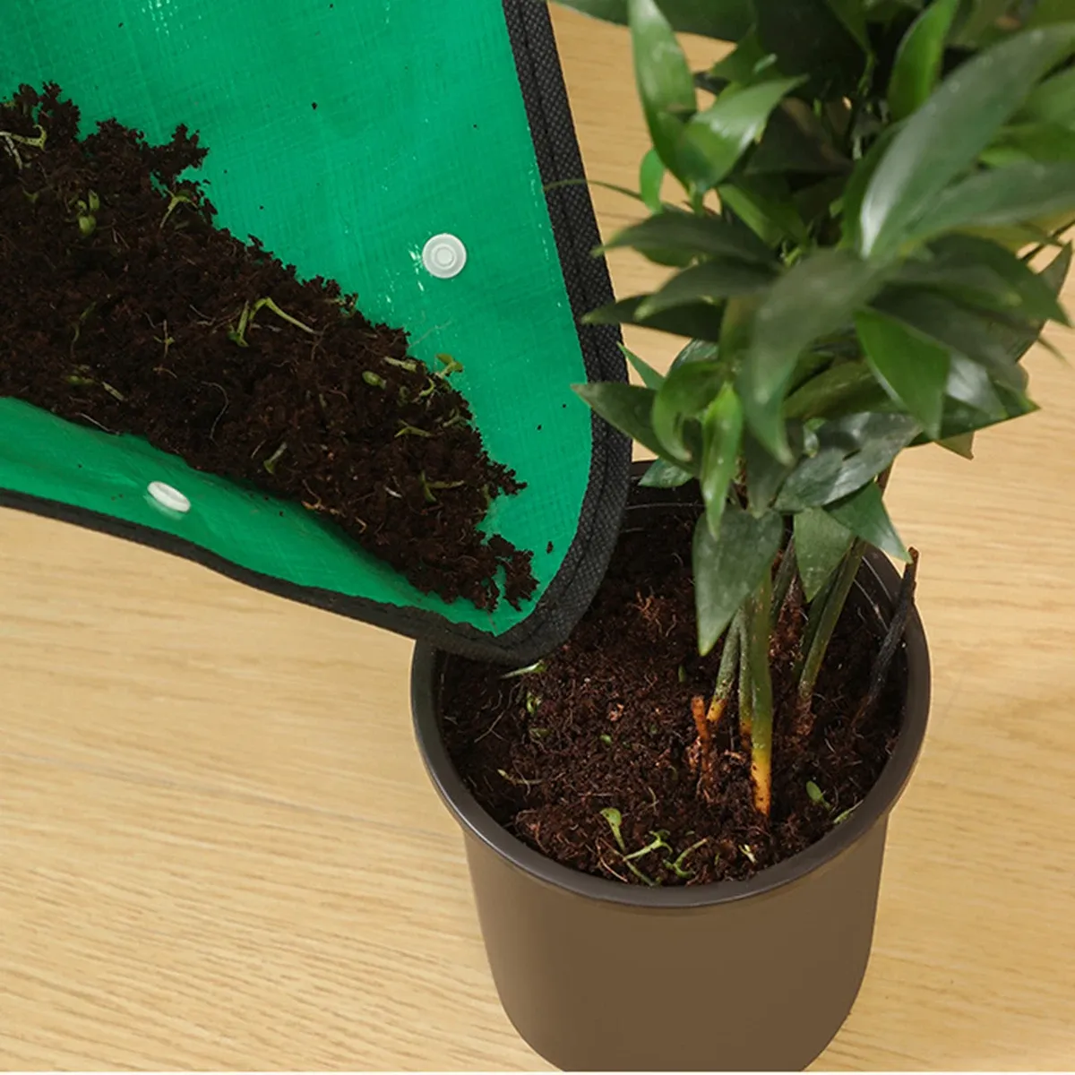 Waterproof Plant Repotting Mat for Indoor Succulent Gardening, Portable Transplanting Tray for Home Gardeners thumbnail 5
