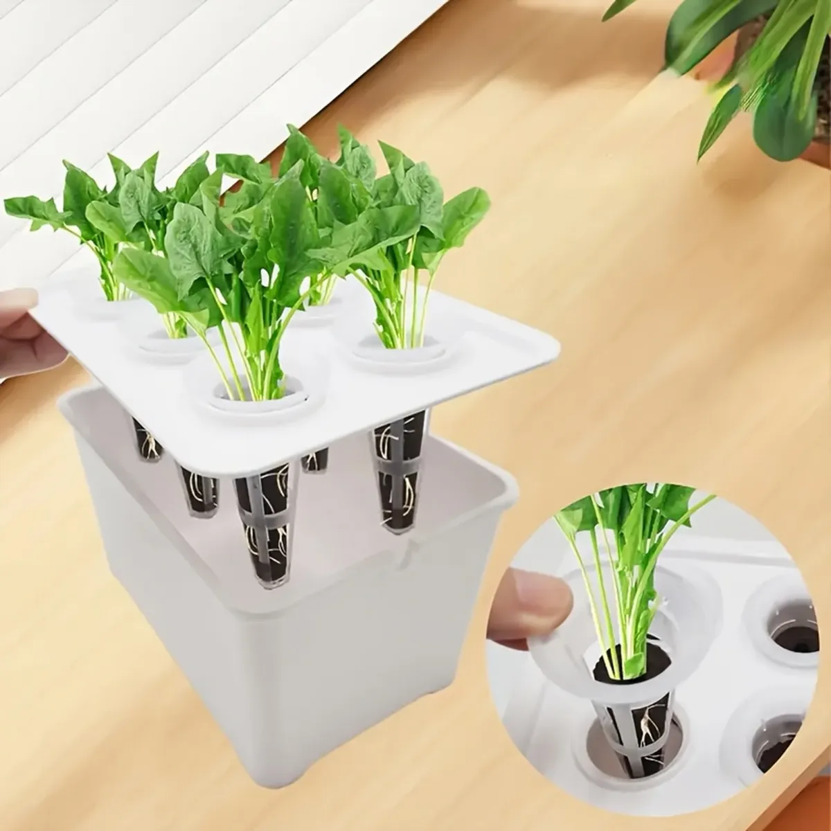 Indoor Hydroponic Grower Kit for Herbs & Plants - Universal Self-Watering System with Seedling Cups, Compact & Efficient for Home Gardens, Ideal Gift for Plant Lovers showcase 5