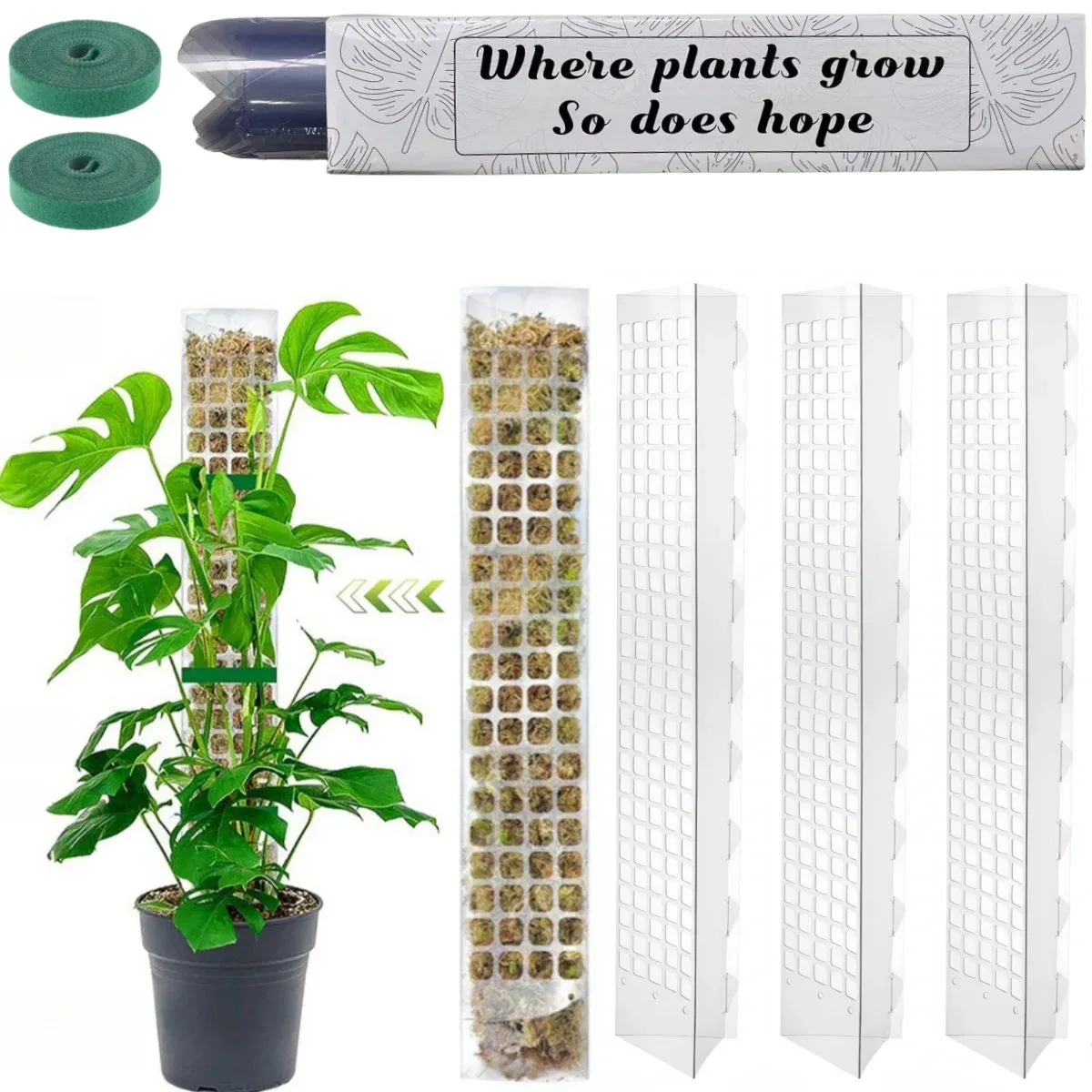 Indoor Climbing Plant Support Moss Pole - Transparent PVC D-Shape Guardian Tutor Stick for Vertical Growth, Root Observation, and Garden Support Accessories thumbnail 1