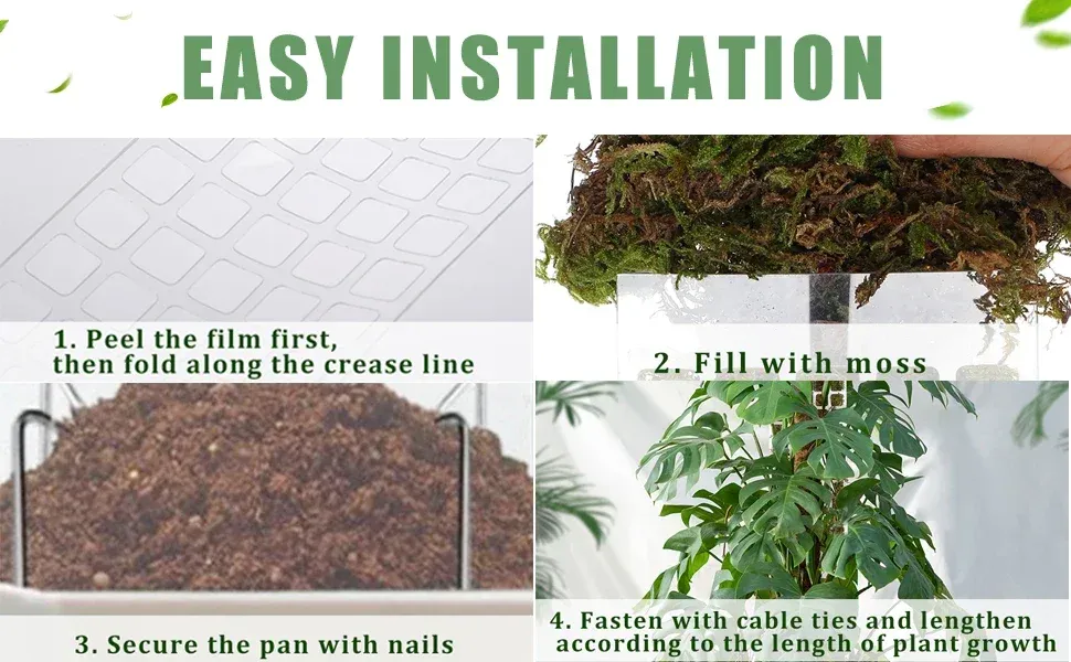 Indoor Climbing Plant Support Moss Pole - Transparent PVC D-Shape Guardian Tutor Stick for Vertical Growth, Root Observation, and Garden Support Accessories showcase 12