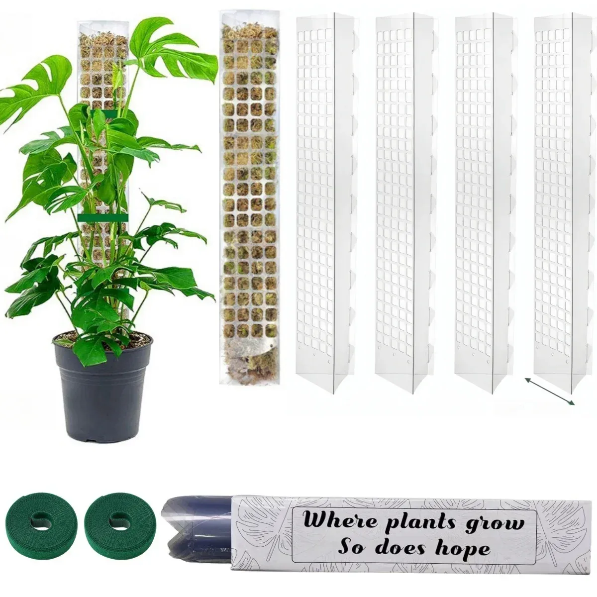 Indoor Climbing Plant Support Moss Pole - Transparent PVC D-Shape Guardian Tutor Stick for Vertical Growth, Root Observation, and Garden Support Accessories showcase 2