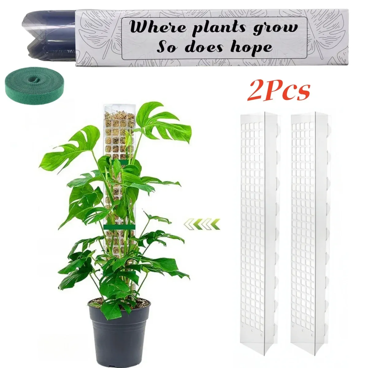 Indoor Climbing Plant Support Moss Pole - Transparent PVC D-Shape Guardian Tutor Stick for Vertical Growth, Root Observation, and Garden Support Accessories showcase 28