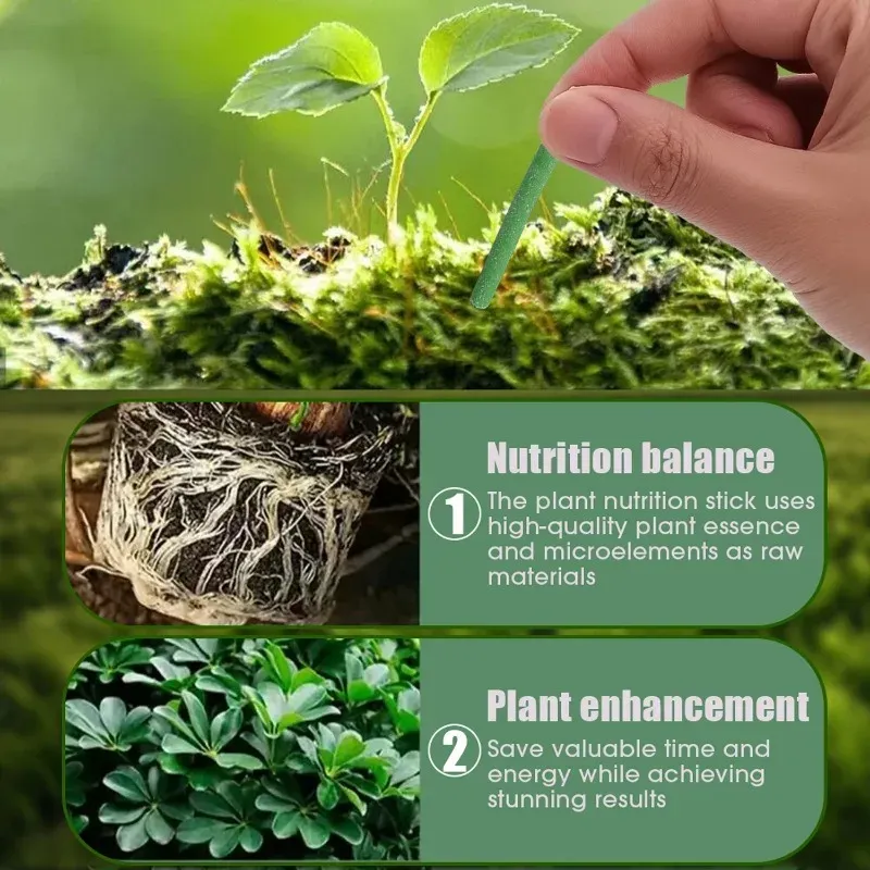 Slow-Release Plant Fertilizer Sticks for Indoor Potted Flowers & Garden Plants - Nutrient Rich Formula with NPK & Organic Carbon, Long-Lasting Soil Enhancer thumbnail 2