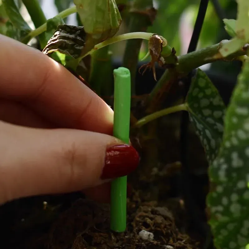 Slow-Release Plant Fertilizer Sticks for Indoor Potted Flowers & Garden Plants - Nutrient Rich Formula with NPK & Organic Carbon, Long-Lasting Soil Enhancer thumbnail 4