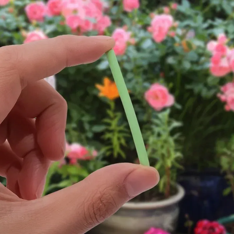 Slow-Release Plant Fertilizer Sticks for Indoor Potted Flowers & Garden Plants - Nutrient Rich Formula with NPK & Organic Carbon, Long-Lasting Soil Enhancer showcase 8