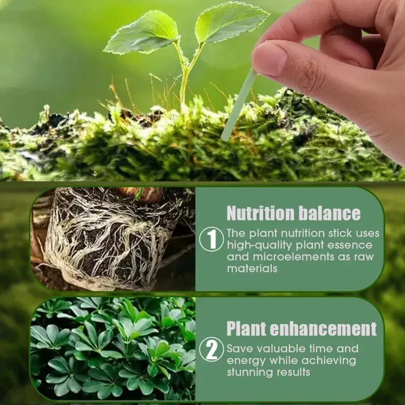 Slow-Release Plant Fertilizer Sticks for Indoor Potted Flowers & Garden Plants - Nutrient Rich Formula with NPK & Organic Carbon, Long-Lasting Soil Enhancer showcase 6