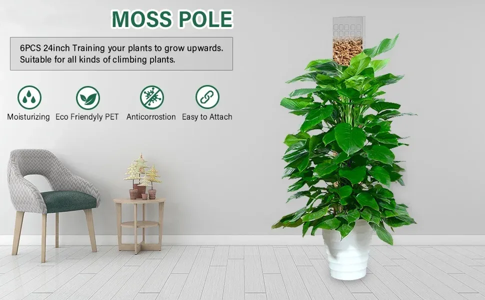 Indoor Climbing Plant Moss Pole Support - Transparent PVC Garden Guardian Tutor Stick for Vertical Growth, Root Observation, and Peat Moss Enhancement showcase 1