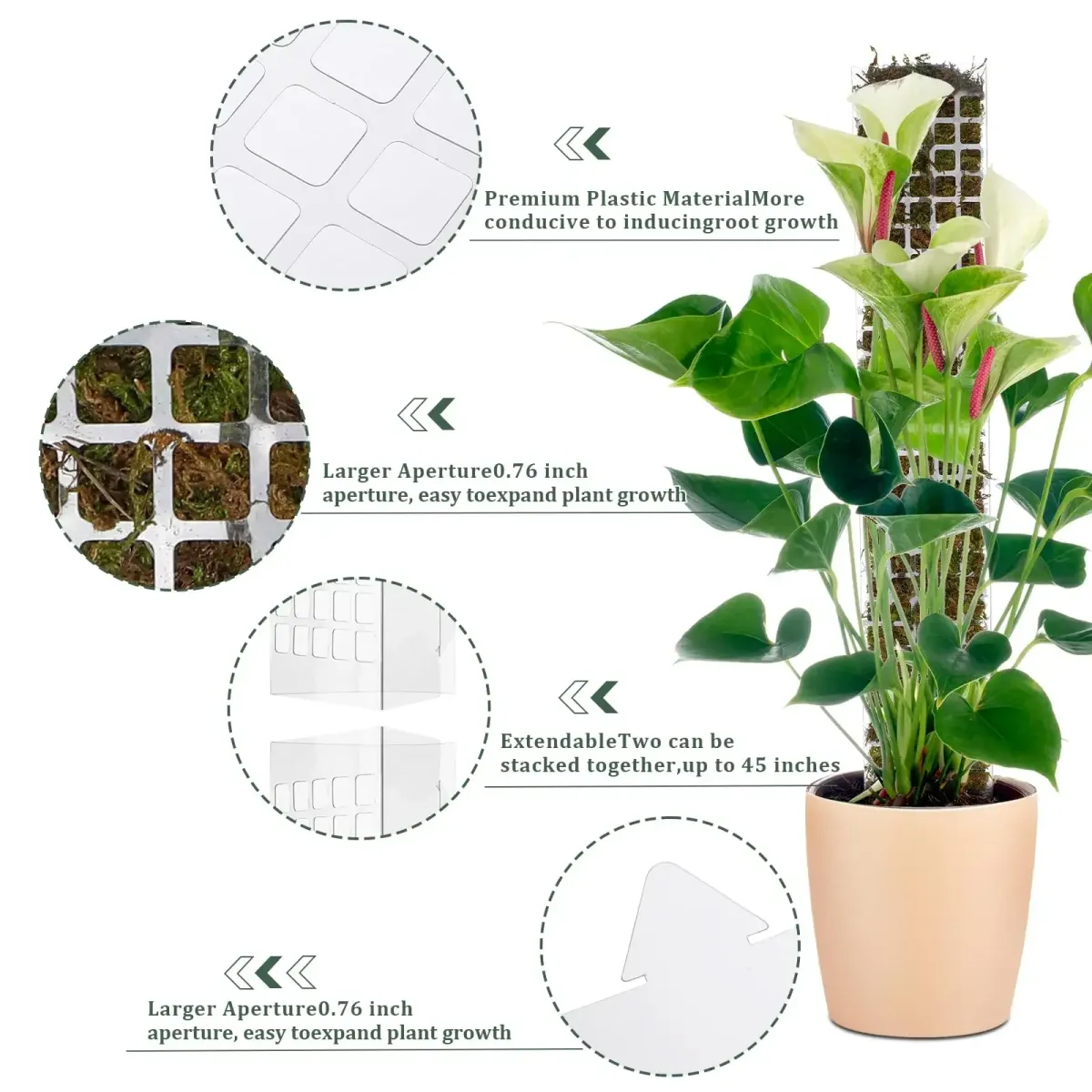 Indoor Climbing Plant Moss Pole Support - Transparent PVC Garden Guardian Tutor Stick for Vertical Growth, Root Observation, and Peat Moss Enhancement showcase 6