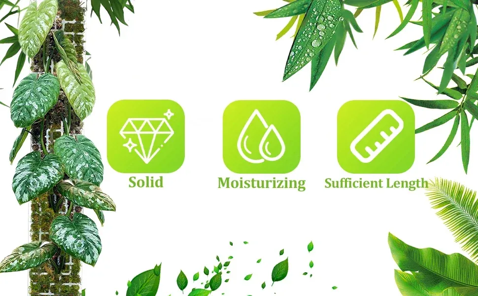 Indoor Climbing Plant Moss Pole Support - Transparent PVC Garden Guardian Tutor Stick for Vertical Growth, Root Observation, and Peat Moss Enhancement showcase 9