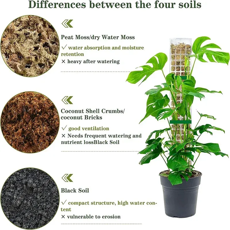 Indoor Climbing Plant Moss Pole Support - Transparent PVC Garden Guardian Tutor Stick for Vertical Growth, Root Observation, and Peat Moss Enhancement showcase 18