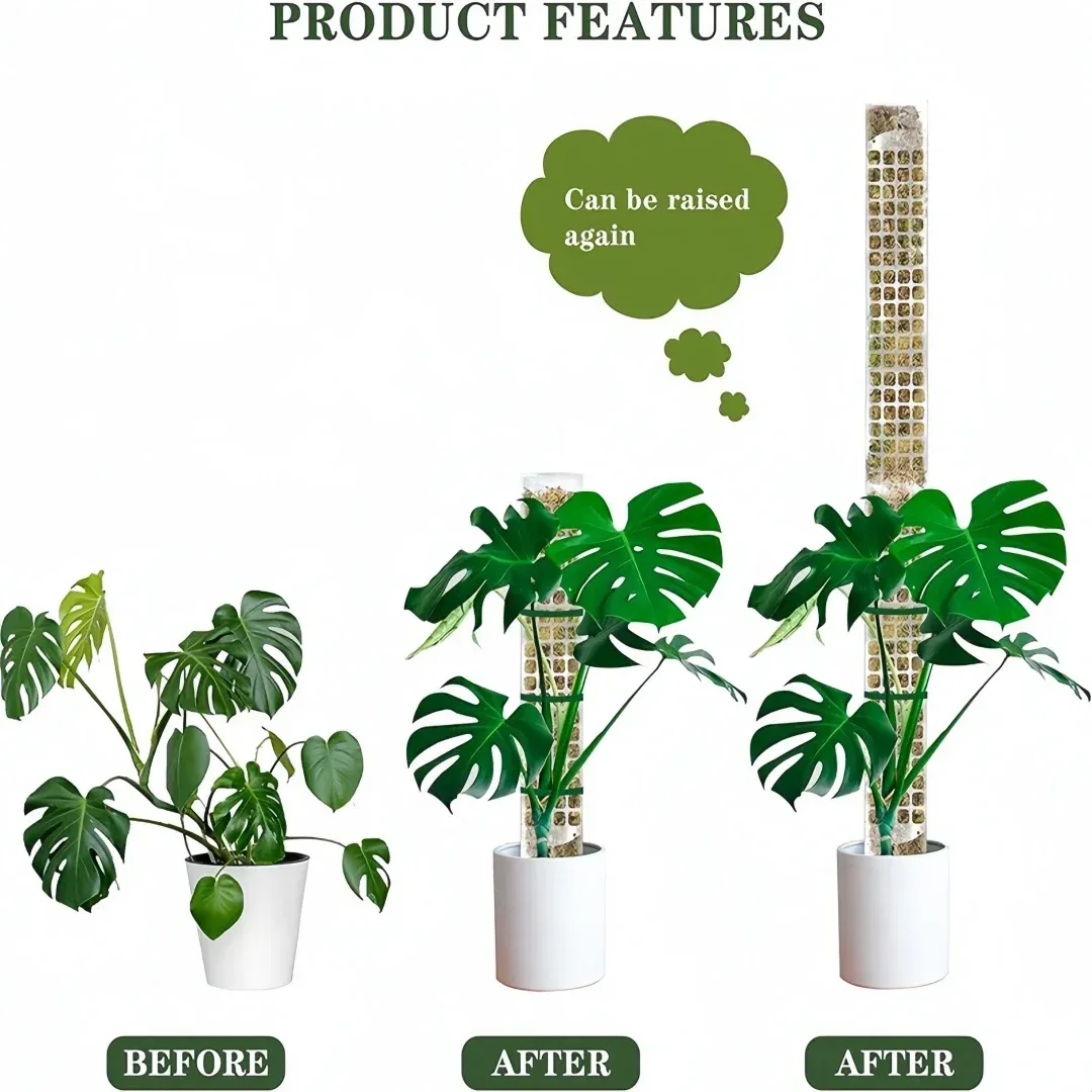 Indoor Climbing Plant Moss Pole Support - Transparent PVC Garden Guardian Tutor Stick for Vertical Growth, Root Observation, and Peat Moss Enhancement showcase 20