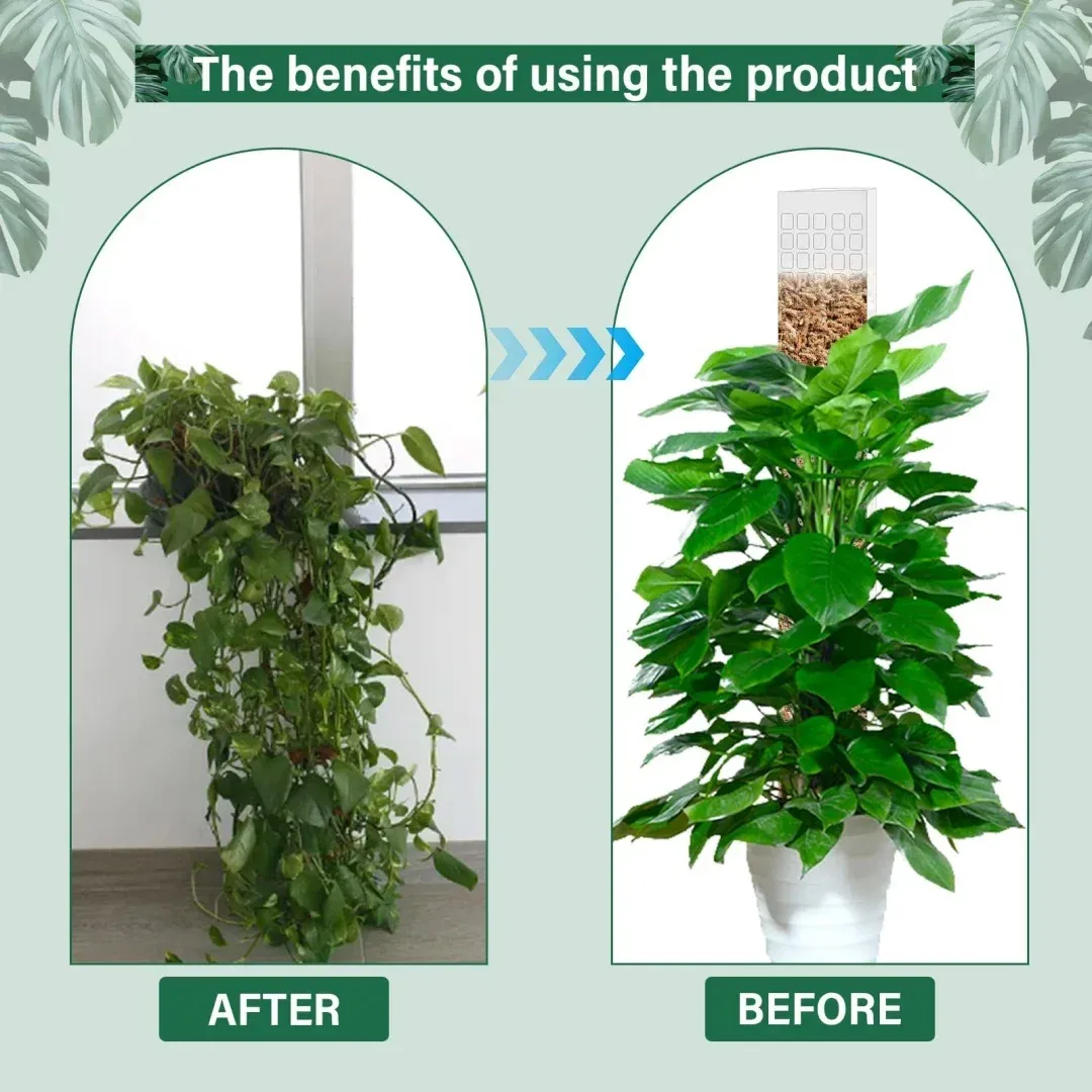 Indoor Climbing Plant Moss Pole Support - Transparent PVC Garden Guardian Tutor Stick for Vertical Growth, Root Observation, and Peat Moss Enhancement showcase 19