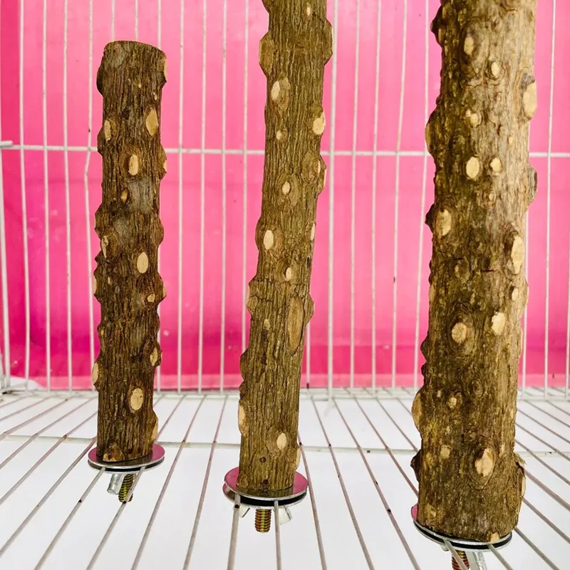 Durable Bird Perch Stand with Grinding Surface - Wooden Emery Claw & Beak Care Toy for Parrots & Cages - 10/15/20cm Sizes Available showcase 7