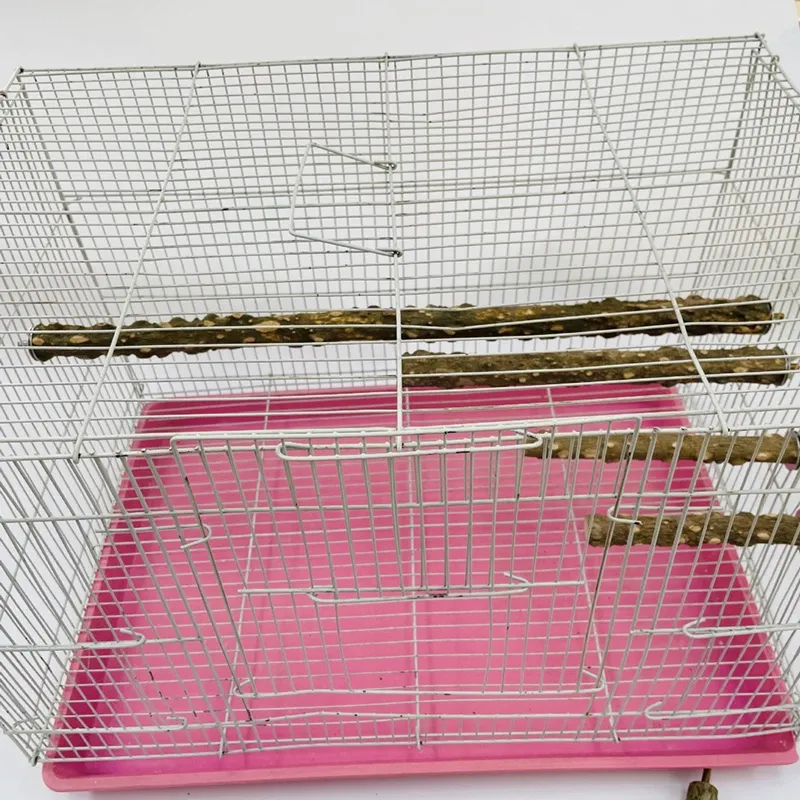Durable Bird Perch Stand with Grinding Surface - Wooden Emery Claw & Beak Care Toy for Parrots & Cages - 10/15/20cm Sizes Available thumbnail 6