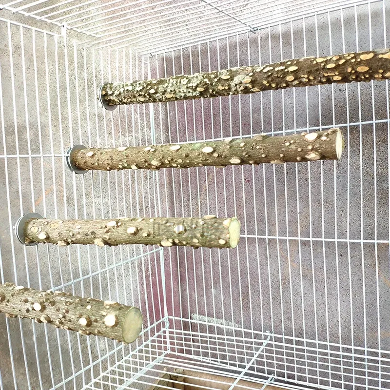 Durable Bird Perch Stand with Grinding Surface - Wooden Emery Claw & Beak Care Toy for Parrots & Cages - 10/15/20cm Sizes Available showcase 10